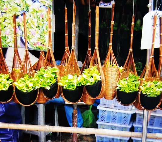 旅先のタイで見つけたグリーンは