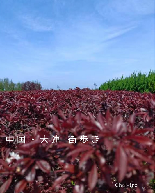 秋の気配