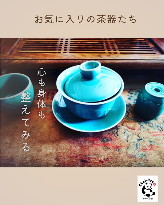 新しい季節が始まりました