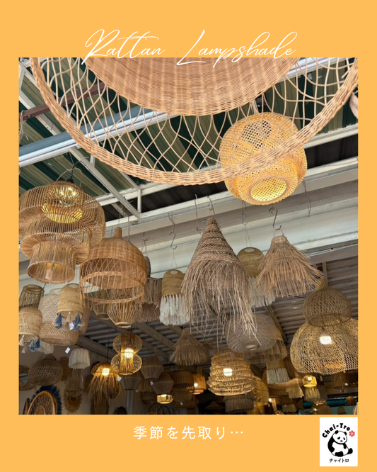 満開の桜から葉桜へ