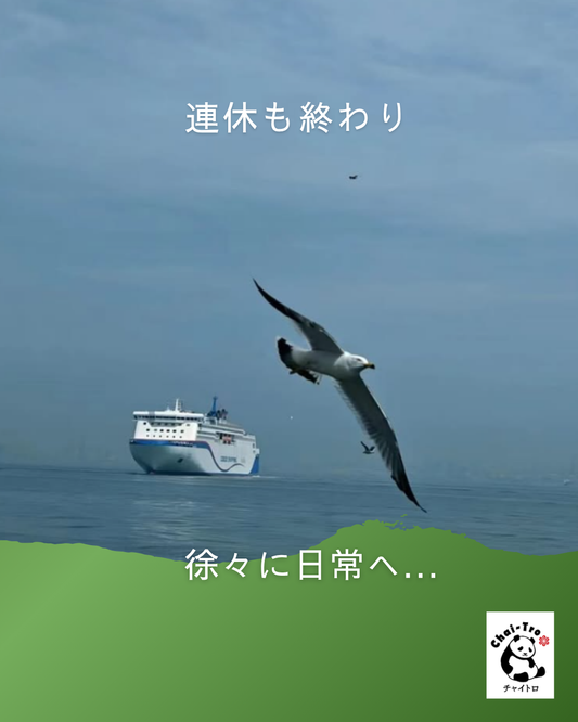 連休は如何でしたか？