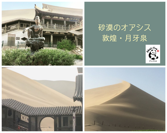 癒し、憩いの　オアシス